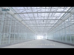 Piezas de marco de metal de invernadero de vidrio