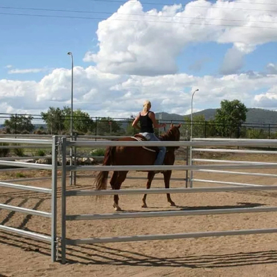 1.6mm Round Galvanized Livestock Fencing 42mm 32mm OD