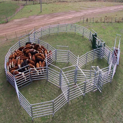 Horse Goat Corral Fence Panels Heavy Duty Q235 Q345 Carbon Steel