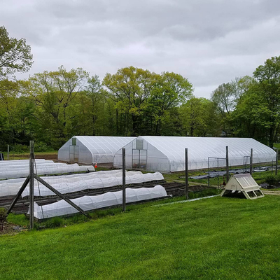La cubierta agrícola de la película plástica del tomate barato bajo costo el invernadero económico del túnel para la verdura