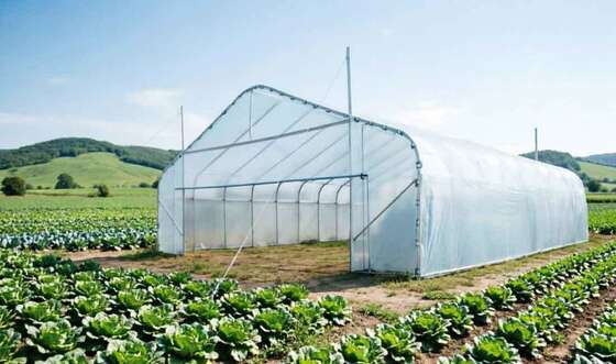 Customizable Greenhouse Tunnels Rectangular Section Shape Length 1-12m Invoiced by Theoretical Weight