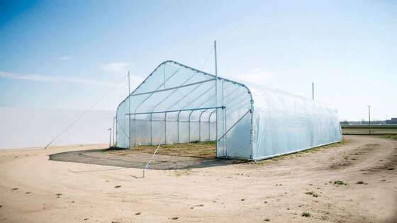 Factory Price Hot Galvanized Steel Frame Plastic Sheet Single Span Greenhouse Tunnel Greenhouse for Agricultural Vegetable